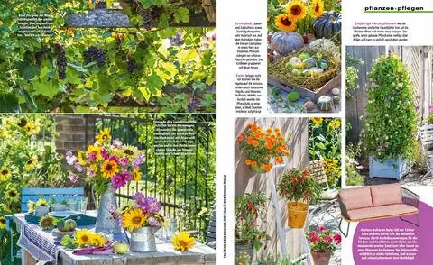 Отрывок Терраса позднего лета