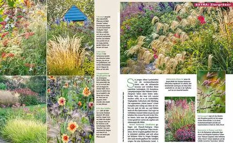 Чтение образцов декоративных трав