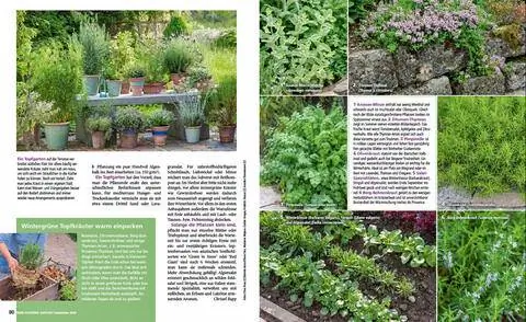 Растительные травы чтение отрывка