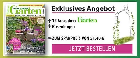 Абонентские предложения Мой прекрасный сад