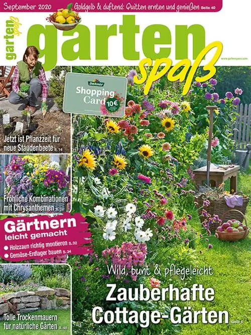 Садовые развлечения, выпуск за сентябрь 2020 г.