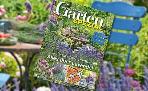 Мой прекрасный сад, спецвыпуск "Все о лаванде"