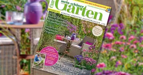 Спешите в киоск: наш сентябрьский номер уже здесь