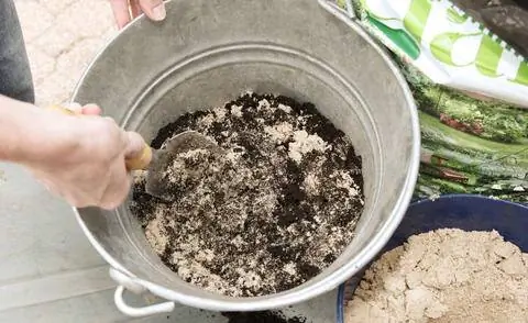 Бедная почва