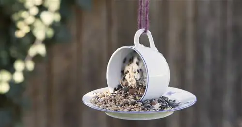 Идеи Яны: изготовление стаканчиков для птичьих кормов