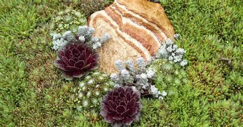 Уход за могилой: лучшие советы для небольшой работы