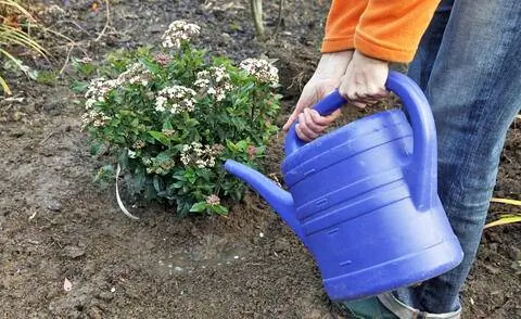 сыпать снежок