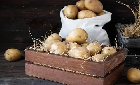 Картофель в коробке и мешке