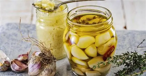 Маринование чеснока: советы & Рецепты