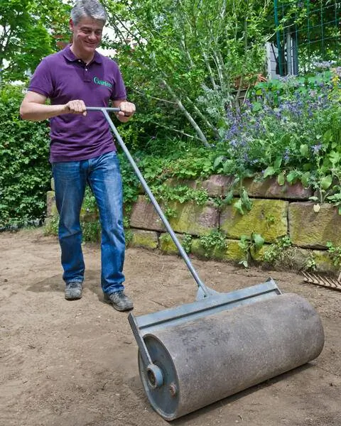 Прикатать почву после посева газона