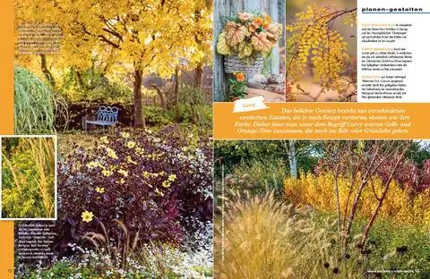 Экстракт: Яркий конец сезона - теплые тона карри