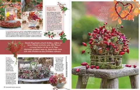 Экстракт: игристые фруктовые жемчужины