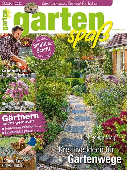 Садовые развлечения, выпуск октябрь 2022 г.