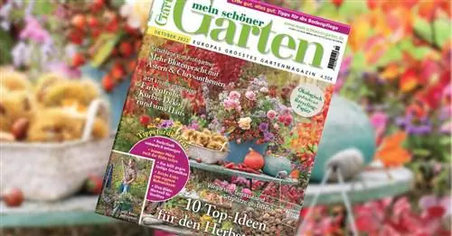 Спешите в киоск: наш октябрьский номер уже здесь