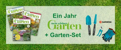 Абонентское предложение Мой прекрасный сад