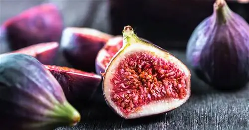 Инжир: с кожурой или без?