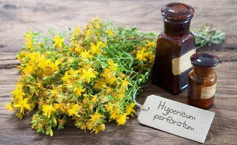 Масло зверобоя