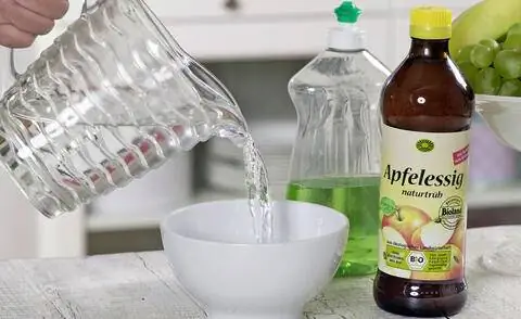 Ловушка для плодовых мух с уксусной водой