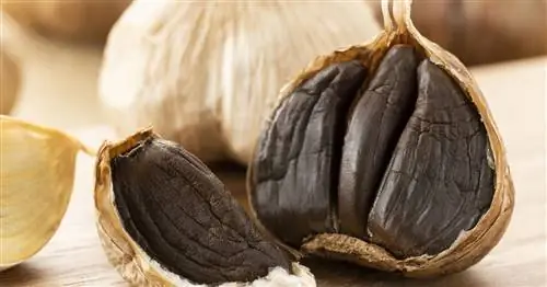 Черный чеснок: как ферментировать