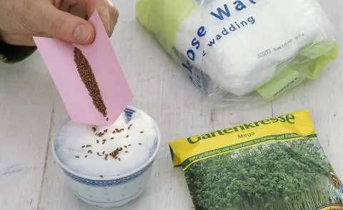 Сеять кресс-салат