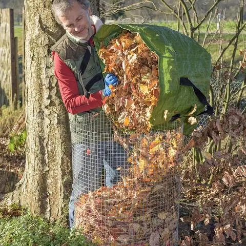 Соберите осенние листья в корзину из проволочной сетки