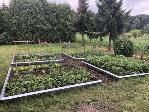 Овощные грядки в собственном саду