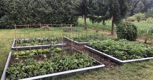 Онлайн-курс «Огород»: Вместе за богатый урожай