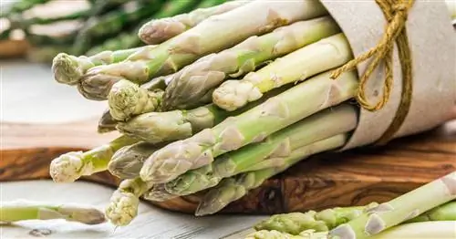 Сезон спаржи: сезон вкусных побегов