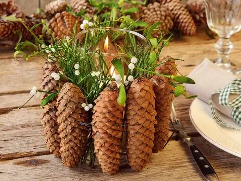 Специальный фонарь с шишками и омелой