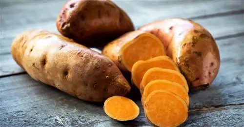 Можно ли есть сырой сладкий картофель?