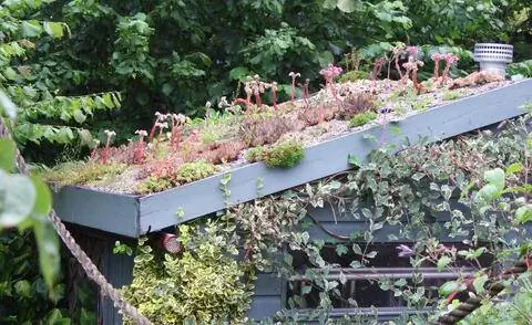 Зеленая крыша беседки