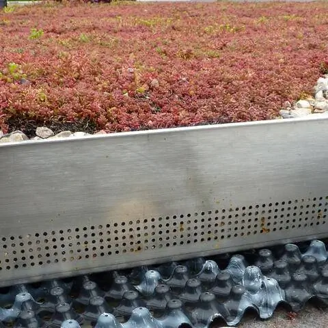 Дренажный мат под зеленую крышу