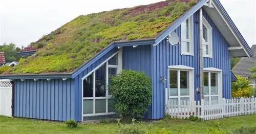 Обширное озеленение крыши: советы по строительству и посадке