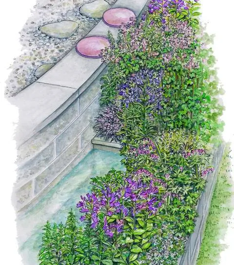 Водоем, встроенный в многолетнее ложе