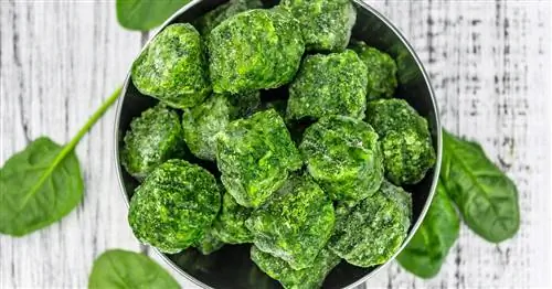 Замораживание шпината: обратите на это внимание