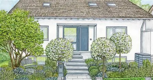 Садовые идеи для тенистого двора