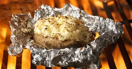 Картофель на гриле: обзор лучших способов