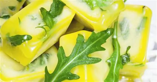 Заморозка рукколы: возможно ли это?