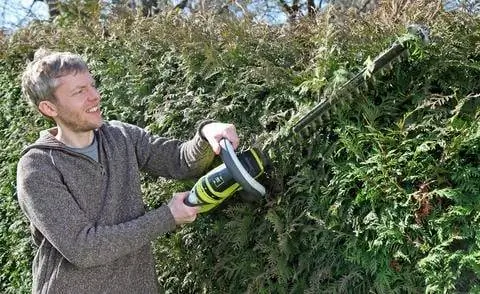 срезать живую изгородь