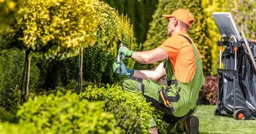 Вычтите садоводство: уменьшить налоговое бремя так просто