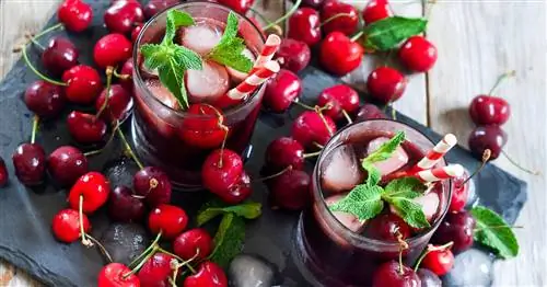 Приготовьте вишневый сок самостоятельно: как это работает