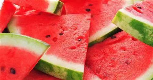 Арбузные семечки: слишком плохо для мусорного бака