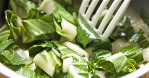 Готовим мангольд: вкусные рецепты и практические советы