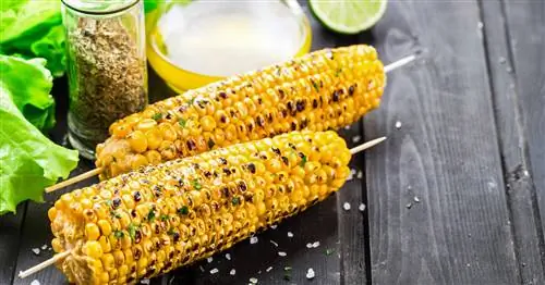 Поджарьте сладкую кукурузу на гриле: она становится золотисто-желтой, мягкой и сладкой, как сахар
