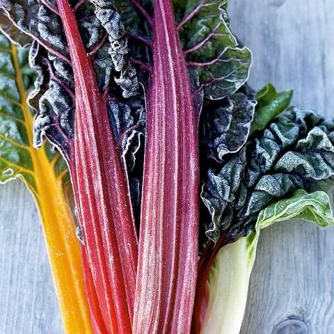 Замороженный мангольд