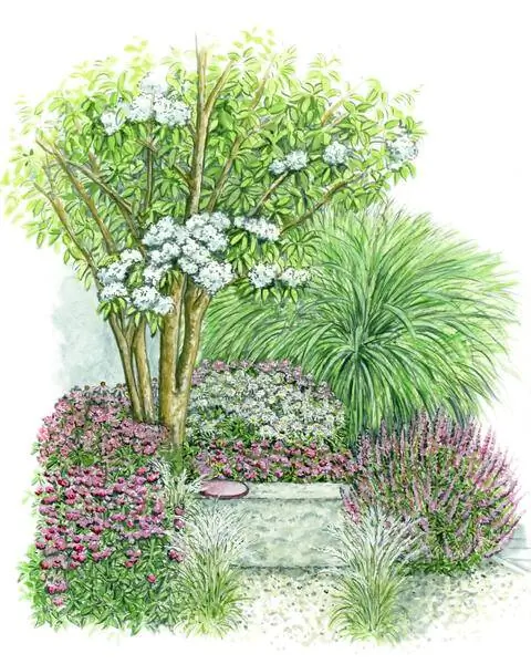 Сидя перед пчелиным деревом