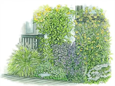 Многолетняя грядка и посадка на переднем дворе