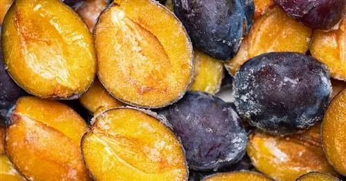 Замораживание сливы: так работают косточковые фрукты заранее