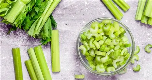 Заморозка сельдерея: вот что важно