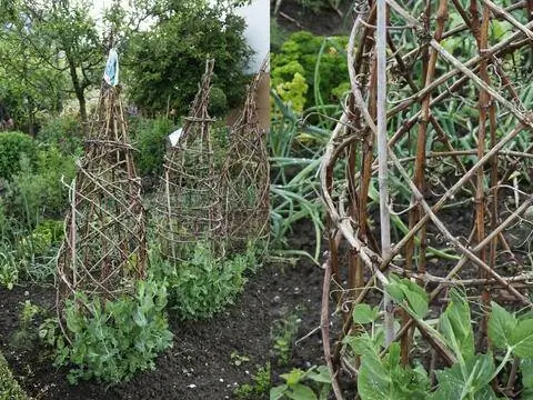 12 идей украшения сада_шпалеры из обрезков веток